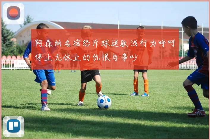 阿森纳名宿怒斥球迷肤浅行为呼吁停止无休止的仇恨与争吵